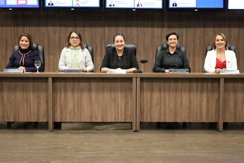 Dia da Mulher: representatividade e as cinco vozes femininas na política de Montes Claros