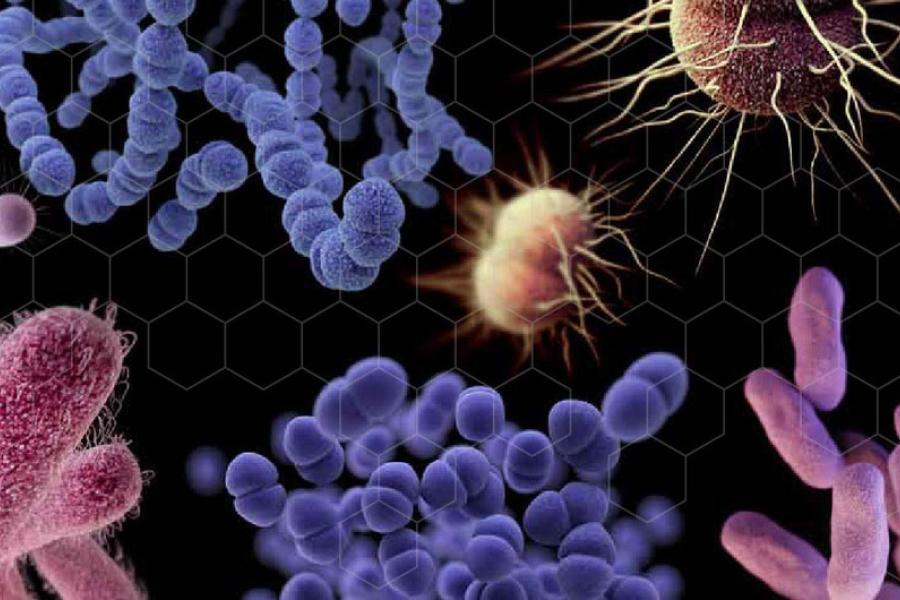 Avanço das superbactérias representa ameaça para a população mundial