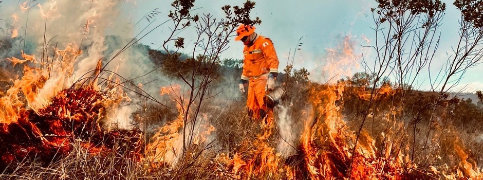 Bombeiros de Minas intensificam treinamento de mais de 300 agentes para combater incêndios florestais