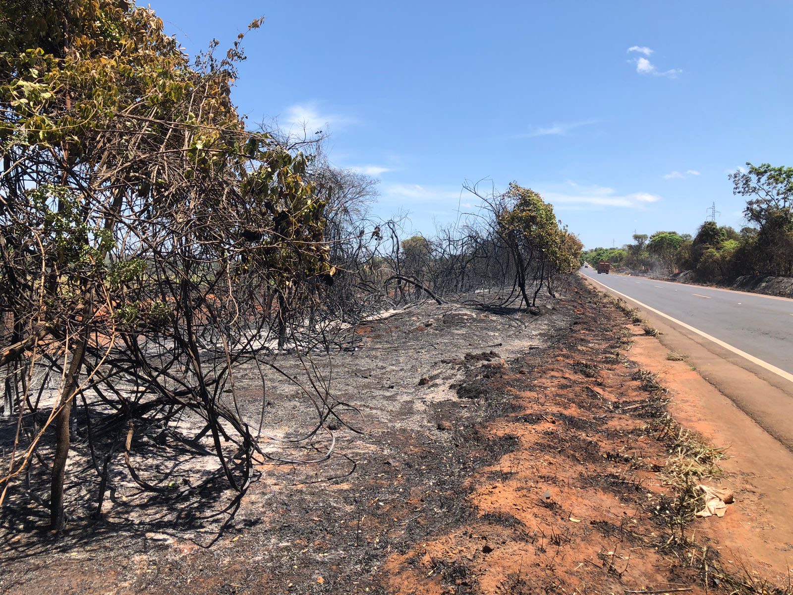 Dia Nacional do Cerrado alerta para prevenção às queimadas em Montes Claros