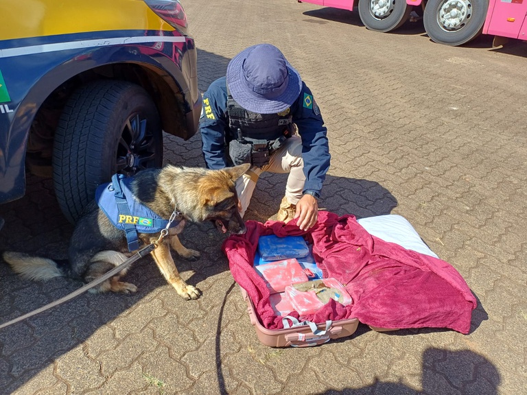 Duas operações realizadas pela na BR-365, em, terminaram com apreensões de grandes quantidades de maconha e cenas que lembraram filmes de ação policial. As ocorrências aconteceram entre a madrugada e a manhã desta quinta-feira (21) e resultaram na apreensão de mais de 209 quilos da droga.