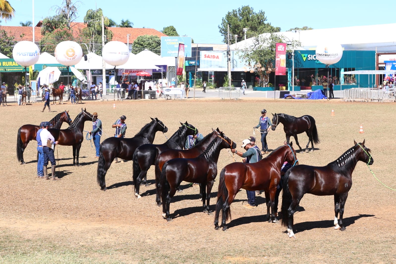 Imagem mostra exemplares da raça mangalarga marchador em evento no Parque Jão Alencar Ataíde, em Montes Claros