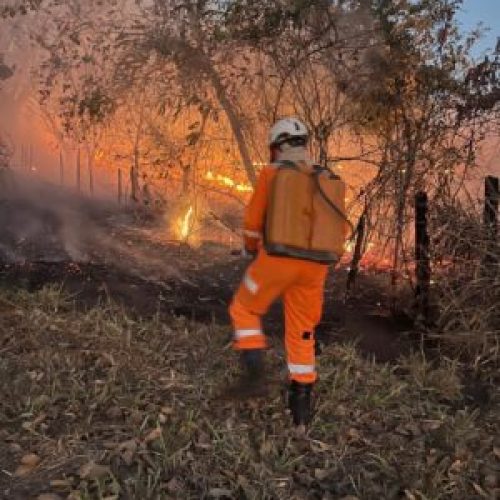 Incêndio consome 27 hectares do Parque Estadual Lapa Grande em Montes Claros
