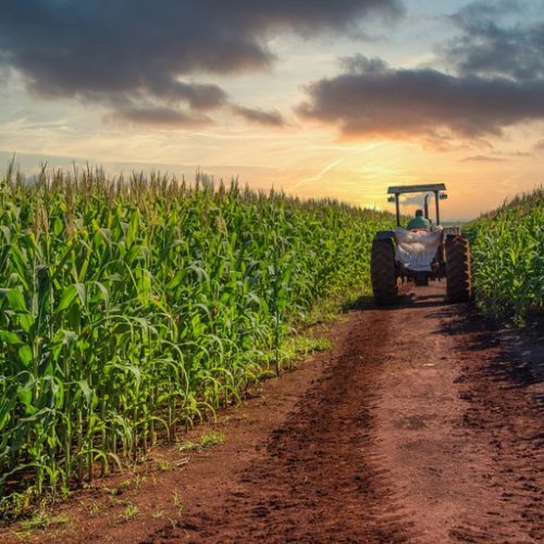 Governo de Minas anuncia medidas para desburocratizar o trabalho no campo