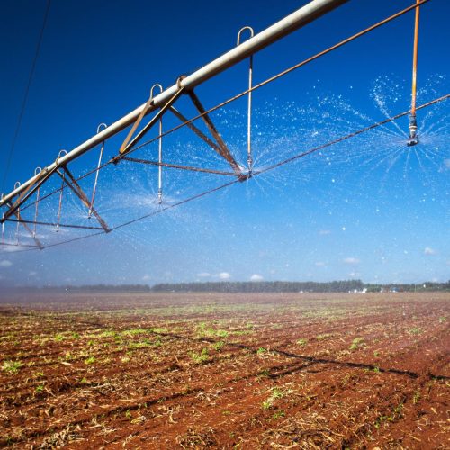 Montes Claros será palco da segunda edição do Seminário Mineiro de Irrigação