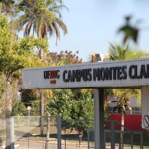 Abertas inscrições de concurso para professor na área de Patologia e Biotecnologia Florestal na UFMG em Montes Claros