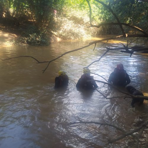 Bombeiros intensificam buscas com cães farejadores por criança desaparecida no Rio Verde Grande