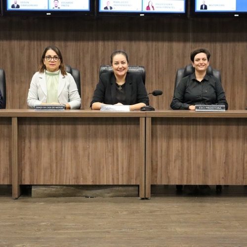 Dia da Mulher: representatividade e as cinco vozes femininas na política de Montes Claros