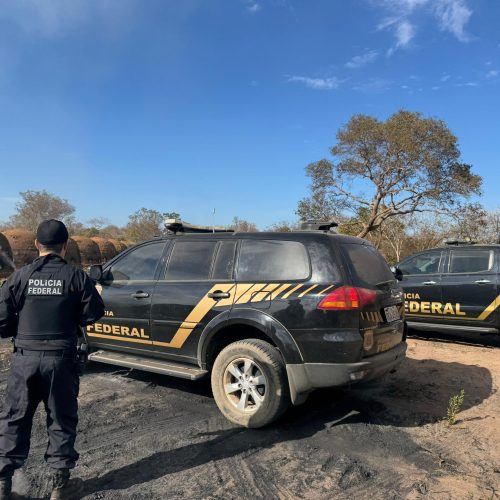 PF e Ministério do Trabalho combatem trabalho degradante em fazenda no Norte de Minas