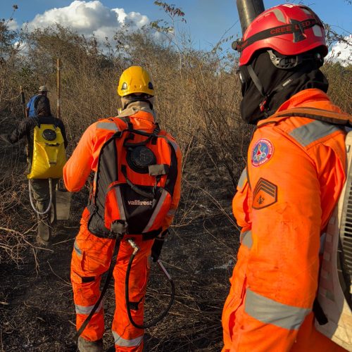Bombeiros controlam incêndio florestal que ameaçava casas na zona rural de Taiobeiras