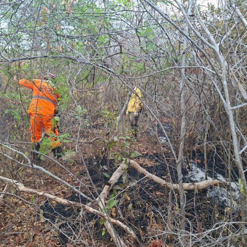 Incêndio no Parque Nacional Cavernas do Peruaçu é controlado e segue em monitoramento