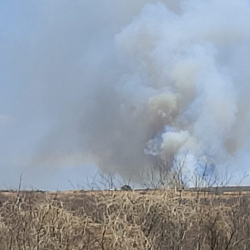 Incêndio destrói 154 hectares de vegetação em Varzelândia