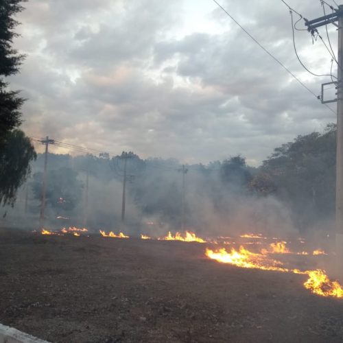 Cemig registra quase 2 mil alertas de incêndio próximos à rede elétrica no 1º semestre de 2025