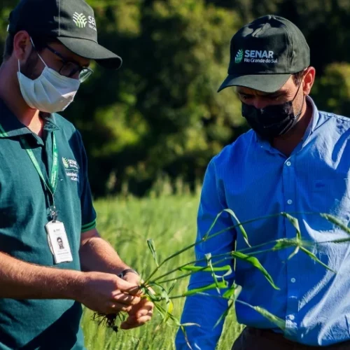 Abertas as inscrições para novas turmas do ATeG do Sindicato Rural de Montes Claros