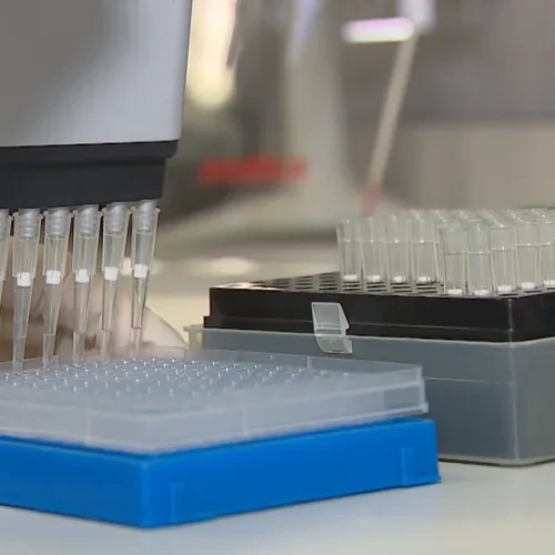 Inicia em Montes Claros coleta de DNA de familiares de desaparecidos