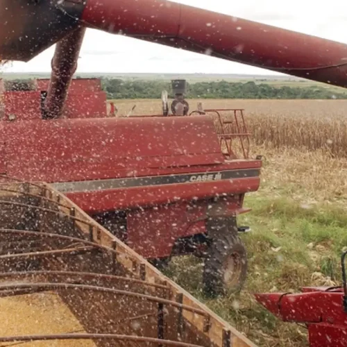 Realidade do Agronegócio no Início da Safra: O Que Você Precisa Saber