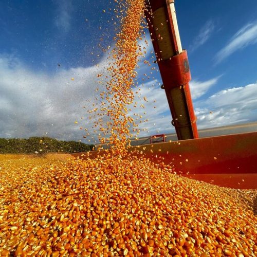 As mudanças no mercado global e seus impactos no agro: o que você precisa entender agora