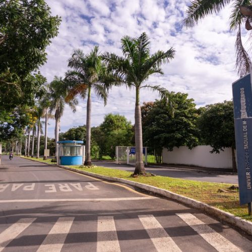 Unimontes vai oferecer 2.889 vagas nos seus cursos de graduação em 2026 por meio do Vestibular Próprio, Sistema ENEM/Sisu e PAES